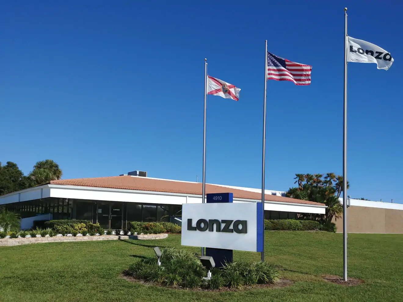 front of Tampa building with flags