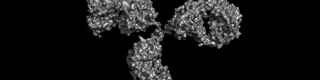 Protein Engineering