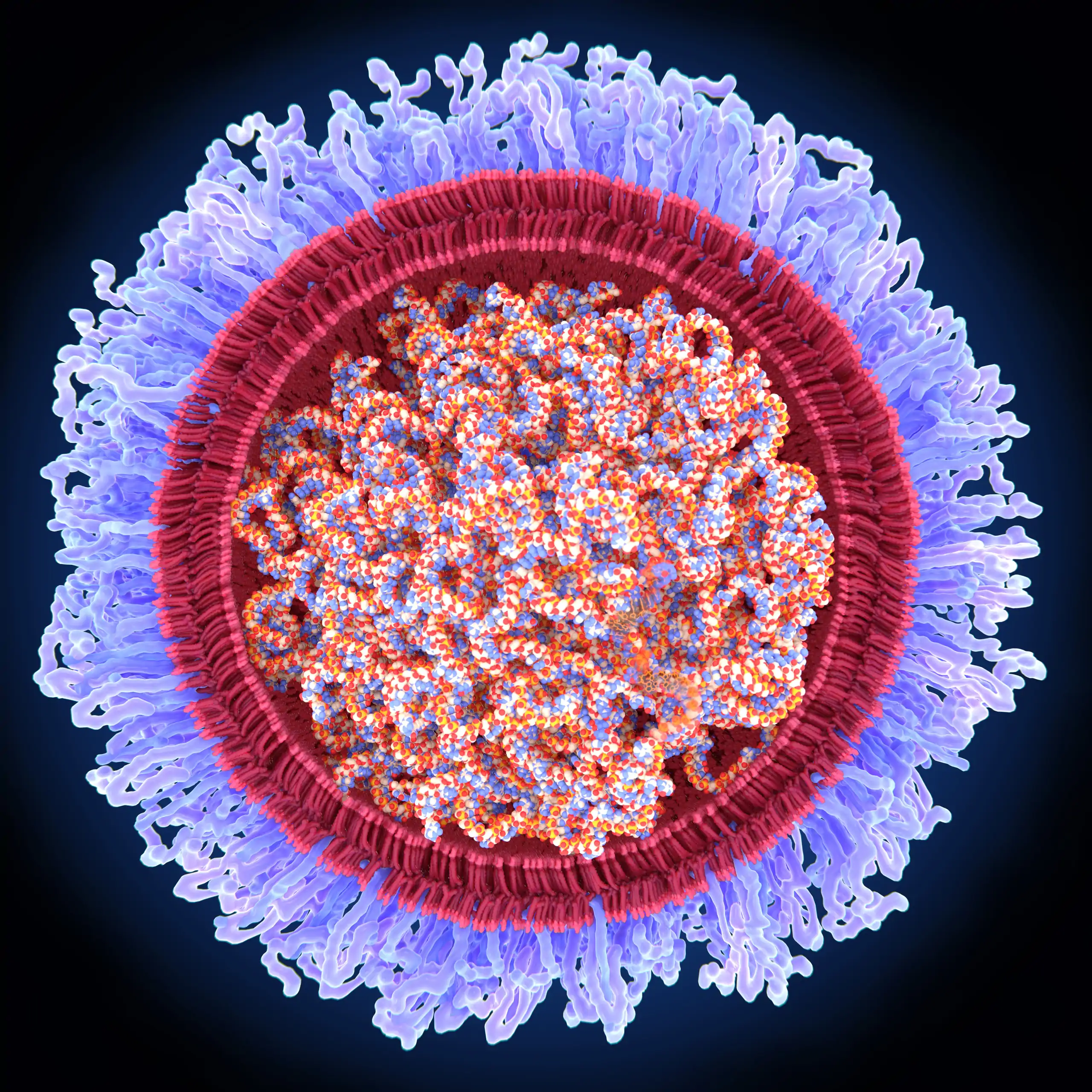 Lipid Nanoparticle