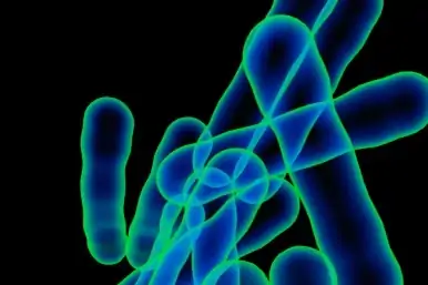inhalation molecules