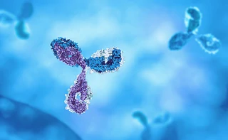 Tailored CMC solutions that meet the needs of novel molecular biologic formats