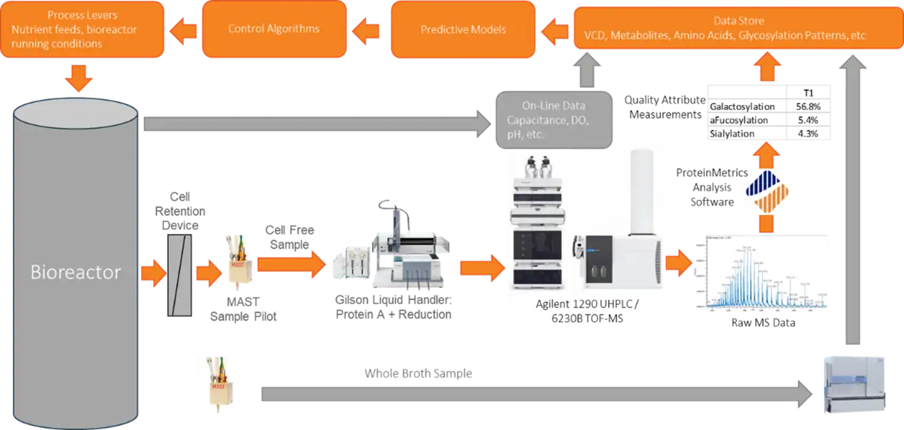 bioreactor diagram