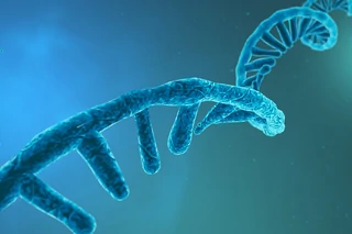Current and Emerging Technologies to Optimize mRNA Manufacturing