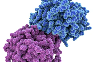 Fabs, Fusion, Scaffold and Other Recombinant Proteins DNA-to-IND Program