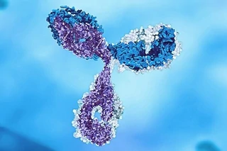 Bispecific Antibodies DNA-to-IND Program