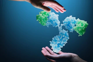 Accessibility Is A Key Difference In Biotech-CDMO  Relationships