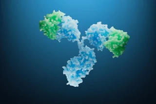 Lonza Shapes Biotherapeutics Development Programs Around Different CMC Paths