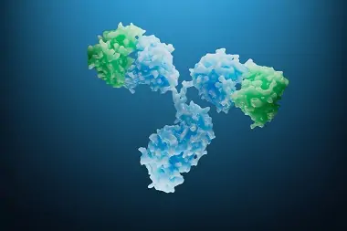 Bispecific Molecule