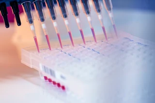 Novel engineered plasmids and optimized HEK293 cell line improves AAV productivity
