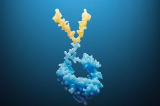 De-Risk Biologics’ Expression and Manufacturing Through Early <i>in silico</i>
 and <i>in vitro</i>
 Assessments