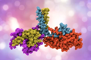 CMC Solutions To Meet The Product-Specific Needs of Novel Molecular Biologic Formats