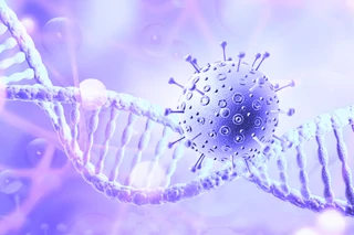A Comprehensive Characterization of Full, Partial, and Empty Lentiviral Vectors