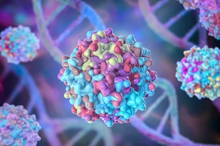 Improvement of Precision in Recombinant Adeno-Associated Virus Infectious Titer Assay with Droplet Digital PCR as an Endpoint Measurement