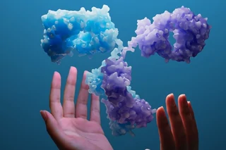 Strategies to Optimize Expression Challenges of Multi-chain and Bispecific Antibodies