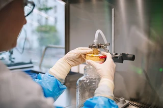 Key Elements to Drug Product Process Characterization for Liquid and Lyophilized DP to Support a BLA Submission