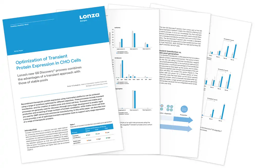 GS Discovery White Paper