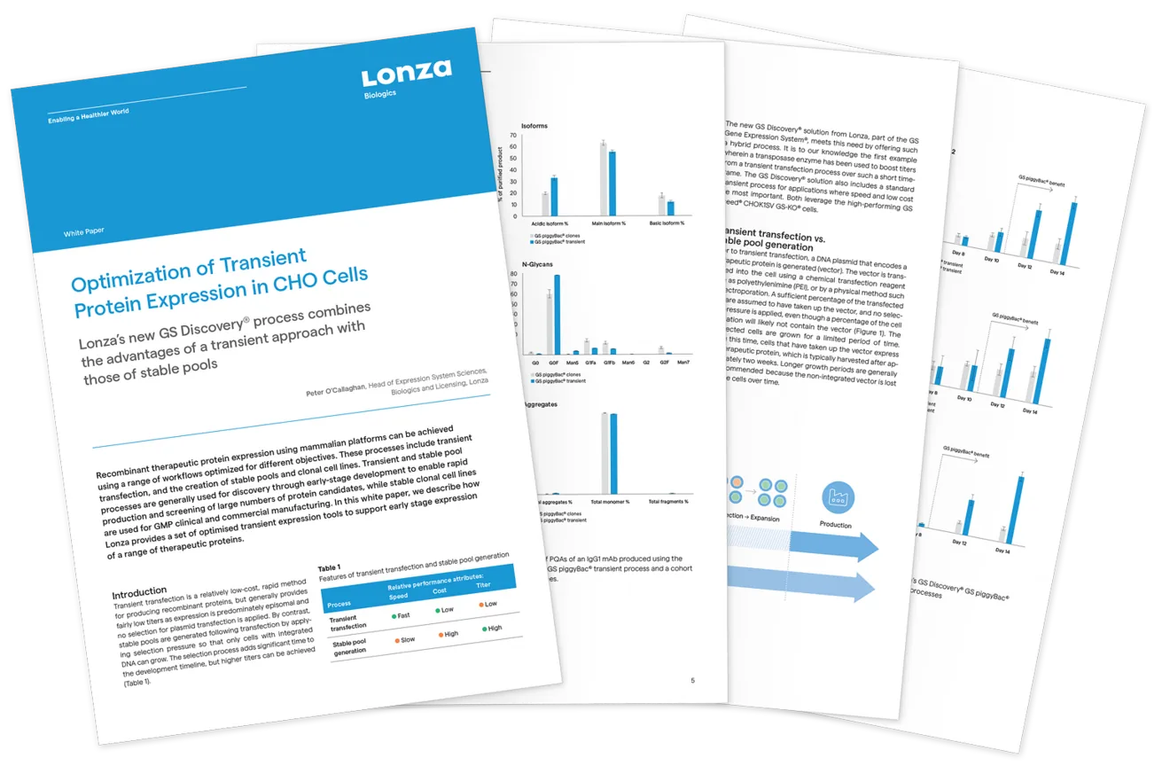 GS Discovery White Paper graphic