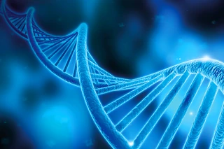 Smarter expression approaches for multi-chain therapeutic protein formats
