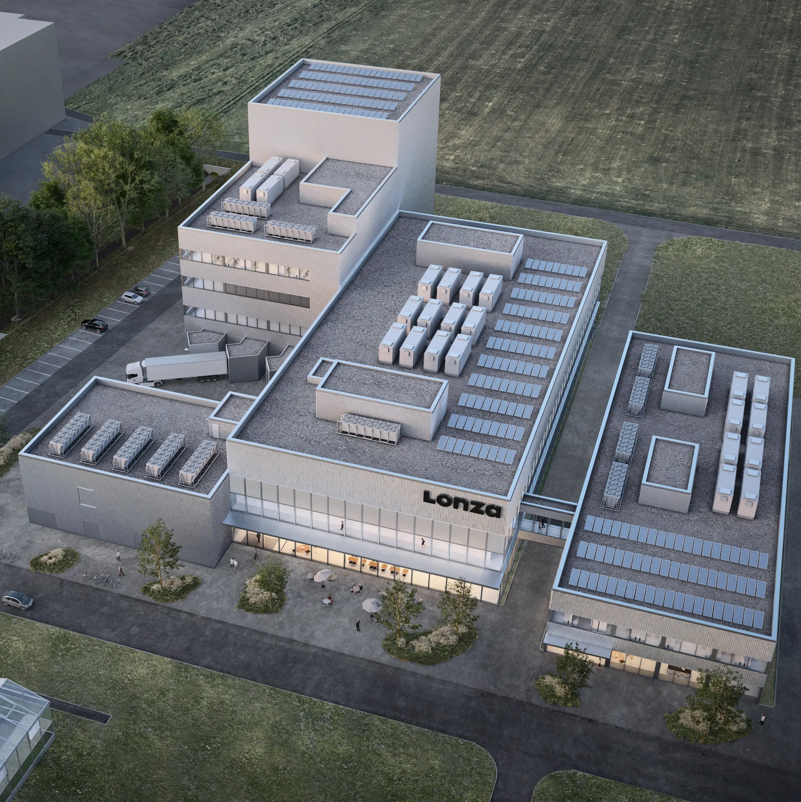 Dolphin expansion rendering