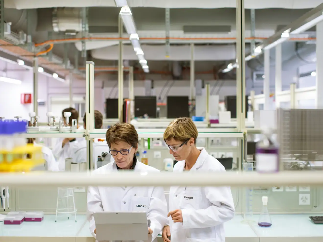 women working on computer in lab